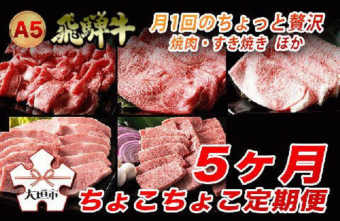 A5飛騨牛　定期便　5カ月ちょこちょこお届け（焼肉・すき焼き　ほか）☆
