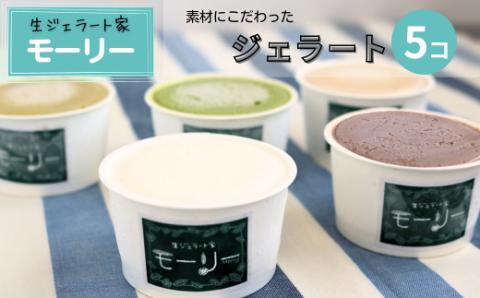 【生ジェラート家　モーリー】素材にこだわったジェラート ５個