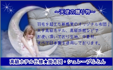 【高級ホテル仕様】羽毛を超えた無地掛布団(綿100%生地) カラー：アイボリー