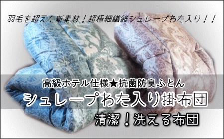 ≪選べるカラー≫【高級ホテル仕様】羽毛を超えた掛布団(SEK加工生地) ベージュ ベージュ