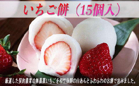 ＼冬季限定／ いちご大福 いちご餅 15個入 苺大福 苺 いちご イチゴ大福 もち 餅 お餅 和菓子 冬限定 限定 旬 スイーツ デザート 白あん あんこ プレゼント ギフト 贈り物 贈答 ご褒美 冬スイーツ 郭町 金蝶園総本家 岐阜県 大垣市