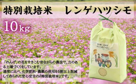 水の都 大垣米 ～わごうめぐみ米～ 10kg【特別栽培米レンゲハツシモ】 10kg