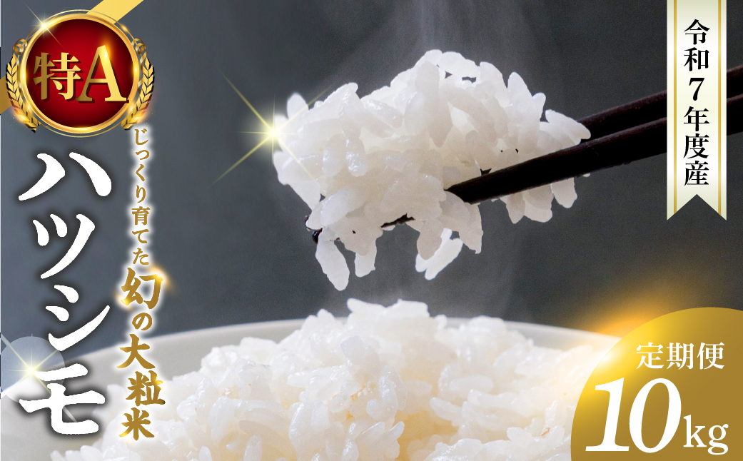 新米≪令和7年度産≫ お米 ハツシモ 10kg 3回 定期便 計30kg 〜水の都大垣の豊富な湧き水で育ったお米 〜 新米 ごはん 白米 精米 人気 美味しい 美濃 西濃 初霜 コシヒカリ の先輩 東の ササニシキ 西の ハツシモ DIB 岐阜県 大垣市 10キロ×3回
