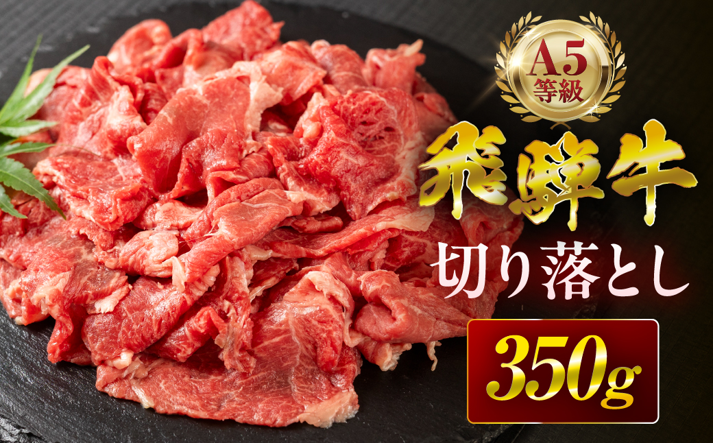 【3回定期便】飛騨牛 A5 350g ちょっと良い 切り落とし 牛肉 和牛 350g × 3回