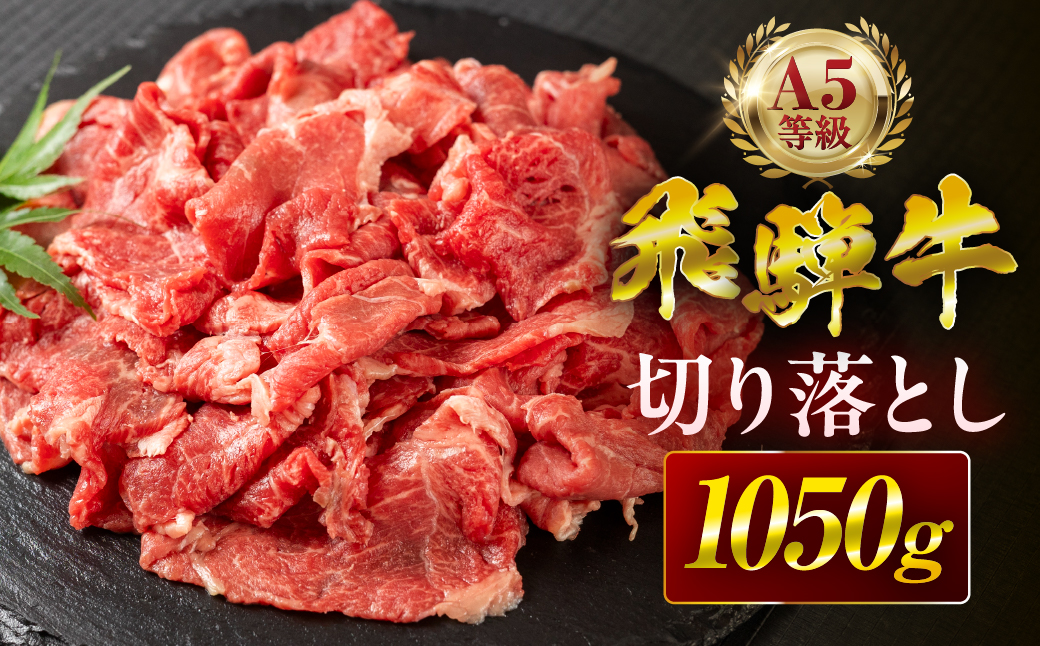 【3回定期便】飛騨牛 A5 1050g ちょっと良い 切り落とし 牛肉 和牛 1050g × 3回