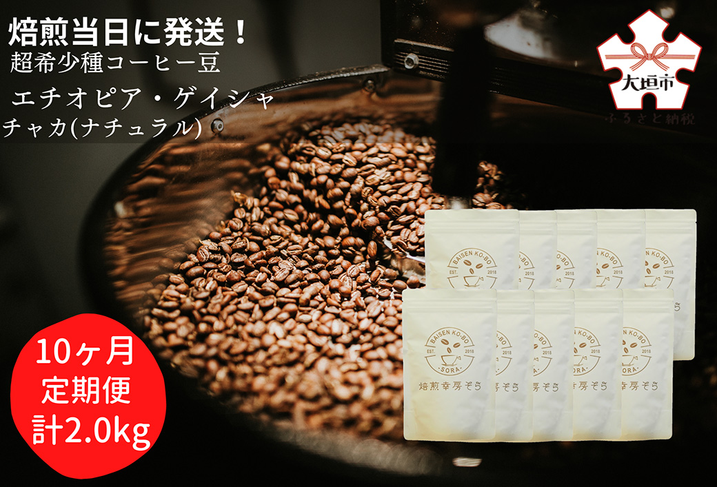 【定期便(10か月)】焙煎当日に発送！超希少種コーヒー 豆 『エチオピア ゲイシャ』ゲシャビレッジ農園 ナチュラル
