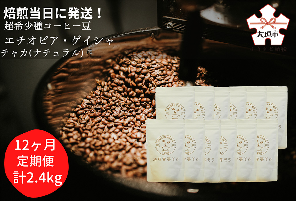 【定期便(12か月)】焙煎当日に発送！超希少種コーヒー 豆 『エチオピア ゲイシャ』ゲシャビレッジ農園 ナチュラル