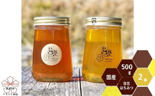 岐阜県上石津産・河本さんちのはちみつ(それぞれ異なる種類の百花はちみつ)500g×2本