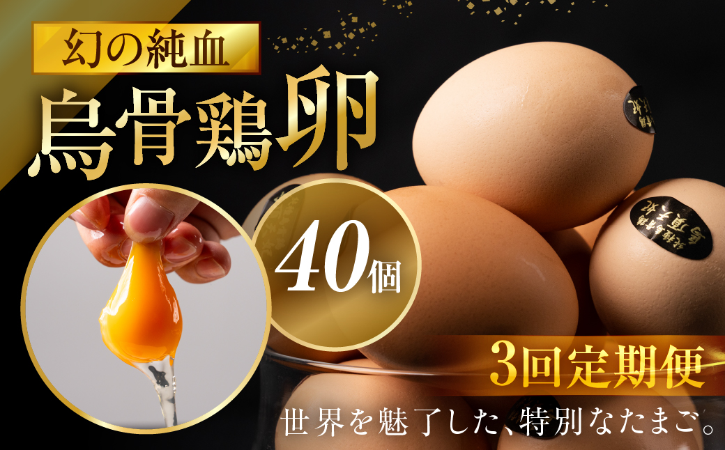 【3ヶ月定期便】＼最高級たまご／烏骨鶏卵 モールド 40個セット 40個×3回