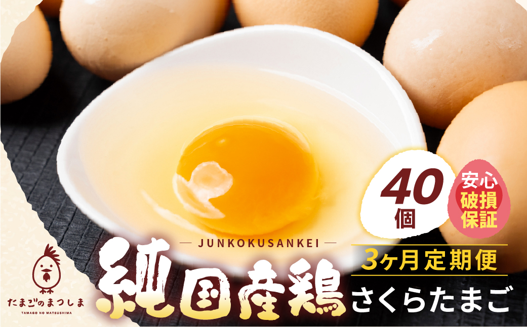 【定期便3ヶ月】40個 新鮮 特選 さくらたまご 3ヶ月 パック数 回数 3回 新鮮な卵 (発送当日・または前日に採れた卵) 安心 安全 対応 破損 割れ保障 保証付 安心対応 サポート 里山 たまご タマゴ 卵 玉子 にわとり ニワトリ 鶏 産直 産地直送 国産 高評価 高レビュー 松島飼料店 岐阜県 大垣市 40個×3回