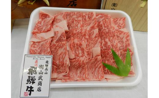 【高島屋選定品】飛騨牛 ロース 焼肉用 500g 和牛 ロース焼肉用 ロース 焼肉用 (株)高島屋 AT001