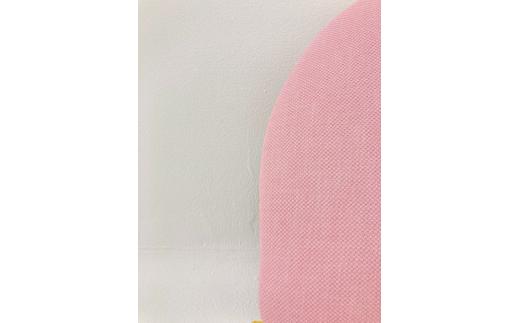 プレディクトチェア RD/織布風CZK　子供椅子 キッズチェア 学習机 ダイニングチェア 飛騨の家具 飛騨家具 木馬舎 AY005