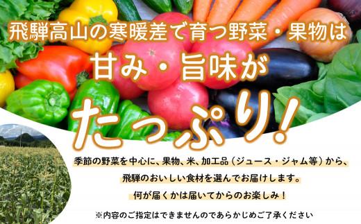【寄附額見直しました！】飛騨高山の新鮮野菜 おまかせセット | 野菜 おまかせ 詰め合わせ やさい 果物 くだもの ご当地 フルーツ 飛騨高山 まるっとプラザ BA007