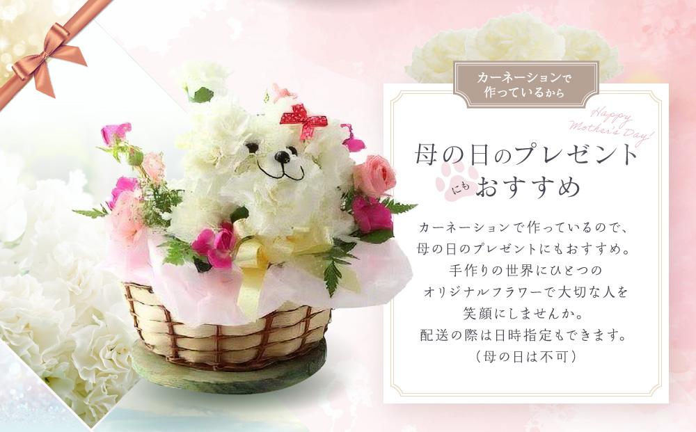 アニマルフラワーアレンジメント トイプードル（白） | 花 カーネーション ギフト お祝い 犬 フラワー 生花 プレゼント 可愛い インテリア 飛騨高山 下出生花店 BB001