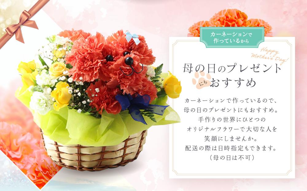 アニマルフラワーアレンジメント トイプードル（オレンジ）| 花 カーネーション ギフト お祝い 犬 フラワー 生花 プレゼント 可愛い インテリア 飛騨高山 下出生花店 BB002