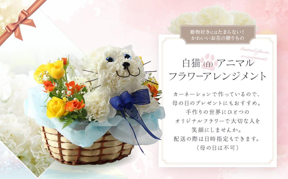 アニマルフラワーアレンジメント 白猫 | 花 カーネーション ギフト お祝い ねこ フラワー 生花 プレゼント 可愛い インテリア 飛騨高山 下出生花店 BB003