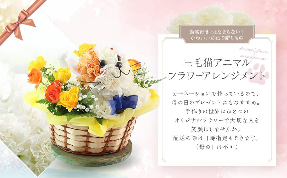 アニマルフラワーアレンジメント 三毛猫 | 花 カーネーション ギフト お祝い ねこ フラワー 生花 プレゼント 可愛い インテリア 飛騨高山 下出生花店 BB004