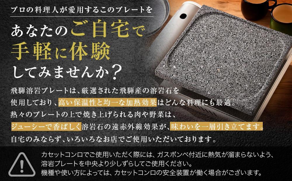 【飛騨溶岩プレート】美味焼【彩】肉や野菜が美味しく焼ける！ご家庭での焼肉に最適！ プレート アウトドア 砂原石材 BE005VC13