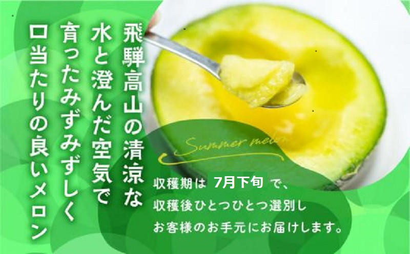 【先行受付】庄兵衛さん家のメロン2玉（7月下旬～順次発送）| メロン フルーツ 果物 アースメロン 箱入り 期間限定 数量限定 ギフト 贈答 人気 おすすめ お取り寄せ 飛騨高山 寺田農園 BN007