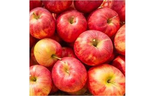 庄兵衛さん家のりんご＆にんじんミックスジュースセット BN008