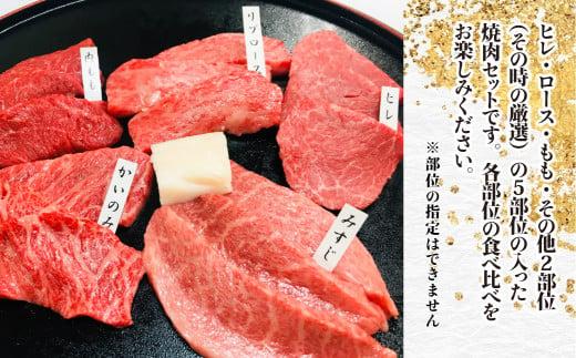 A5等級 飛騨牛 希少部位 焼肉セット 250g 5種食べ比べ ( ヒレ / ロース / もも など ) | A5 肉 焼肉 和牛 ブランド牛 牛肉 黒毛和牛 食べ比べ 盛り合わせ 贈答 飛騨高山 天狗総本店 BP015
