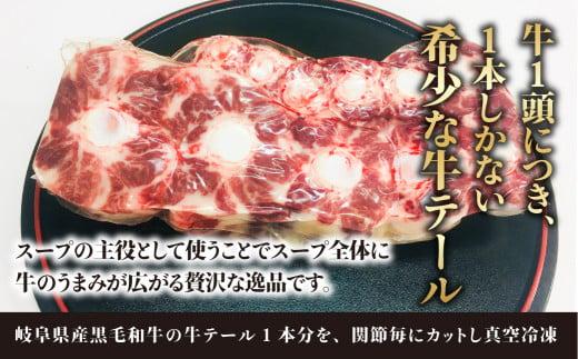 岐阜県産黒毛和牛テール 1本 | 牛 牛肉 和牛 黒毛和牛 テール スープ 煮込み 牛テール シチュー 飛騨高山 天狗総本店 BP016