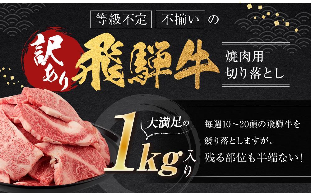 【11月配送】訳あり 飛騨牛焼肉用切り落とし たっぷり1kg （不揃い・大容量）| 飛騨牛 肉 おいしい 飛騨高山 切り落とし 小分け BBQ 正月 肉の匠家 BV027VC11