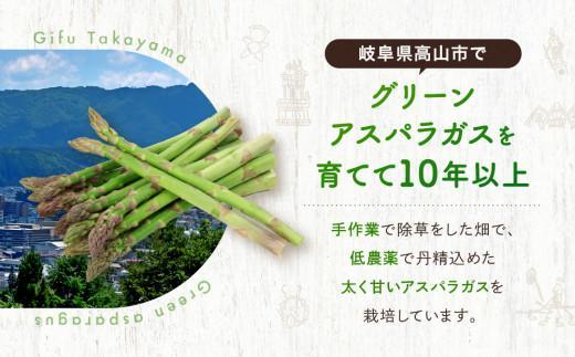【2026年発送・先行受付】2Lサイズ以上 ひだっこアスパラガス 0.5kg | アスパラ 野菜 やさい 産地直送 春 夏野菜 採れたて グリーンアスパラガス 期間限定 人気 おいしい ひだっこの里 CM003VC01