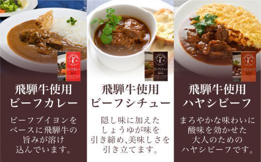 【1月配送】キッチン飛騨 レトルトカレー・シチュー・ハヤシ 3種5個セット | レトルト カレー ビーフシチュー ハヤシビーフ 食品 詰め合わせ カレー 飛騨牛 飛騨高山 飛騨ハム CQ012VC01