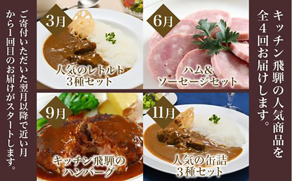 【定期便】人気のお肉レトルト商品詰め合わせ 全4回お届け | キッチン飛騨 4カ月 定期 カレー ハムセット ハンバーグ 缶詰 食品 冷凍 ビーフ ポーク カレー ビーフシチュー ハヤシビーフ 飛騨牛 老舗 名店 飛騨高山 飛騨ハム CQ100
