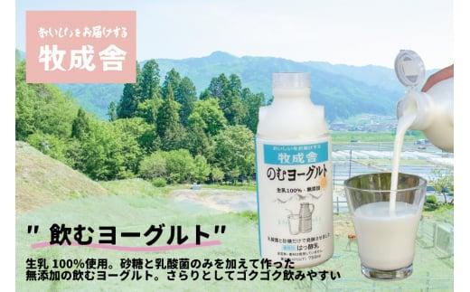 【12月配送】＜牧成舎＞飛騨の牛乳屋のこだわり 牛乳＆ヨーグルト 4種セット | 年内発送 飲むヨーグルト 生乳 乳製品 自社牧場 低温殺菌 生クリーム 飛騨 詰め合わせ まとめ買い セット  飲料 お取り寄せ 飛騨高山 牧成舎 DF016VC12