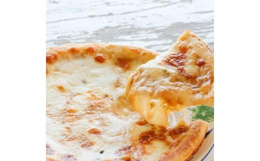 ＜牧成舎＞飛騨の美味しい乳製品を選べるチケット 12枚分 (チーズ＆ソーセージ 牛乳＆ヨーグルト＆チーズ 最中アイス チーズたっぷりピザ) DF032