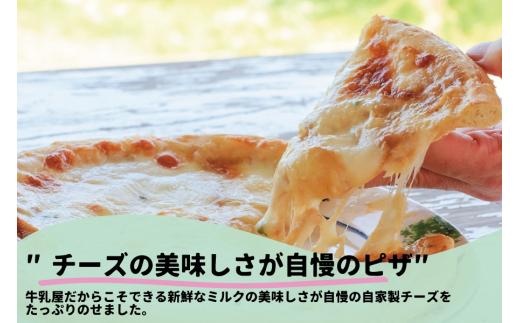 【6カ月定期便】飛騨の牛乳屋 牧成舎 お任せチーズたっぷりピザセット ピッツァ 種類お任せ マルゲリータ 洋風トマト 和風山椒 お任せ 定期便 モッツアレラチーズ 乳製品 DF115