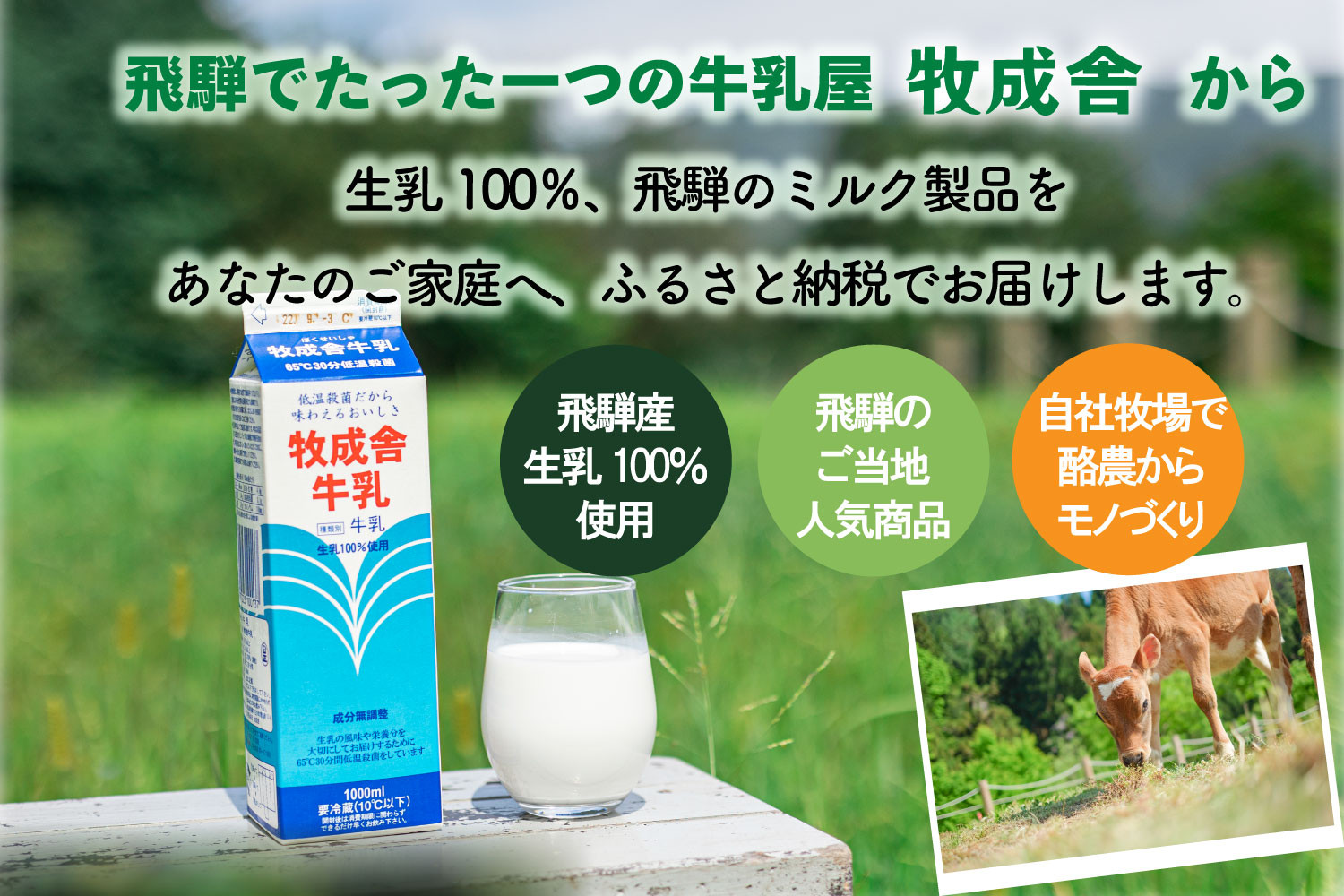 【6か月定期便】牧成舎のむヨーグルト 750ml×6本セット　飛騨産生乳使用｜乳製品 毎日習慣 素材 自然の恵み 乳飲料  (有)牧成舎 DF249