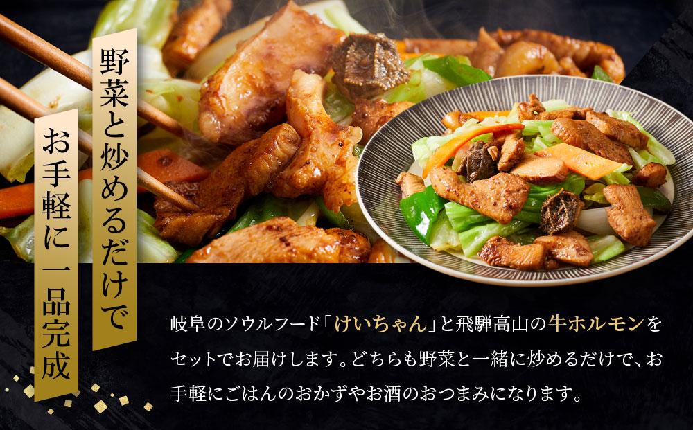 牛ホルモン3袋＋けいちゃん2袋セット | レトルト 簡単調理 郷土料理 飛騨高山 高山米穀協業組合 FA002