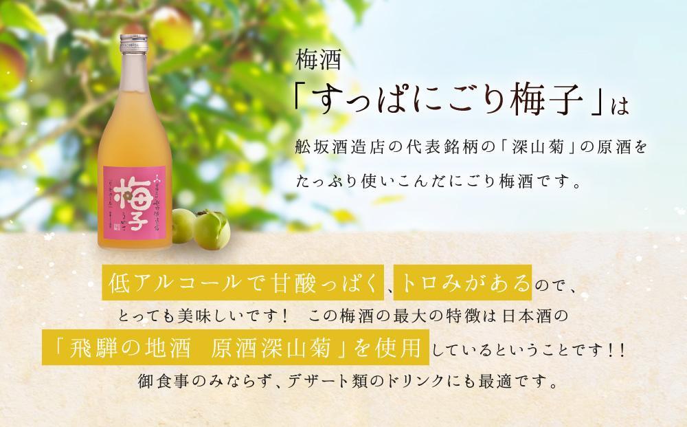 飛騨の地酒で造ったにごり梅酒「すっぱにごり梅子」 ｜ 日本酒 梅 人気 おすすめ 有限会社舩坂酒造店　FB002VC13
