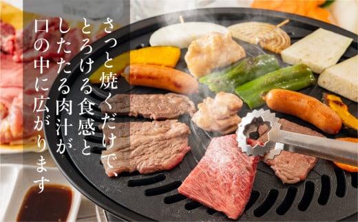飛騨牛 みすじ ウデ 焼肉 700g 盛り合わせ ( 赤身 & 霜降り ) 牛 黒毛和牛 国産牛 肉 飛騨高山 ブランド牛 飛騨牛のこもり FC003