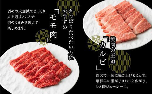 【7月発送】5等級 飛騨牛 焼肉 (もも、バラ) 盛り合わせ 400ｇ 食べ比べ 詰め合わせ  人気 おすすめ BBQ バーベキュー キャンプ お取り寄せ グルメ 焼肉セット 飛騨高山 ながせ食品 FH012VC07
