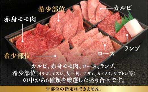 【5月発送】飛騨牛 焼肉 6種食べ比べ セット 600g(100g×6） 希少部位 A5 5等級 盛り合わせ 黒毛和牛 和牛 個包装 飛騨高山 ながせ食品 FH017VC05