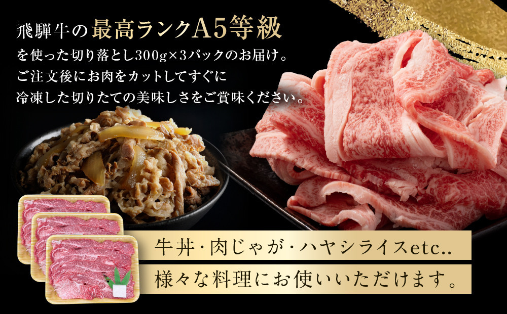 【5月発送】飛騨牛 A5等級 切り落とし 900g（300g×3パック） | 小間切れ A5ランク A5 5等級 肉 黒毛和牛 ブランド牛 発送時期が選べる 飛騨高山 ながせ食品 FH026VC05