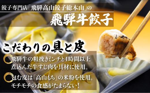 豪華！ 飛騨餃子 ファミリーパック 50個入り ＜ 生冷凍餃子 ・ 簡易包装 ＞ ぎょうざ ギョーザ 冷凍 冷凍餃子 飛騨高山 業務用 大容量 ニラ 飛騨牛 お取り寄せ 酒 つまみ FN004