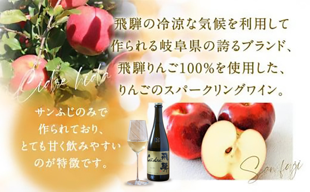 飛騨りんご シードル飛騨 甘口 750ml | スパークリング スパークリングワイン シードル お酒 果実酒 りんご リンゴ 林檎 ワイン 飛騨高山 木戸脇果樹園オーチャードハウス FP002