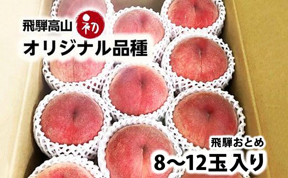 【数量限定】≪8月上旬～順次発送≫ 飛騨桃 オリジナル品種『飛騨おとめ』 3kg（8～12玉入り） | もも 桃 モモ くだもの 果物 フルーツ 飛騨高山 ぜんぞう果樹園 FX003