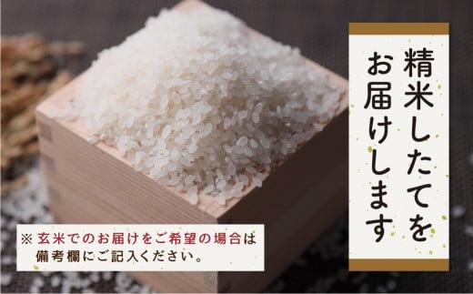 【令和7年産 新米】 飛騨産コシヒカリ 「飛騨の米」 白米（玄米対応可） 5kg  | 白米 玄米 こしひかり 精米 お米 飛騨高山 ファームジネンいいむら GG010