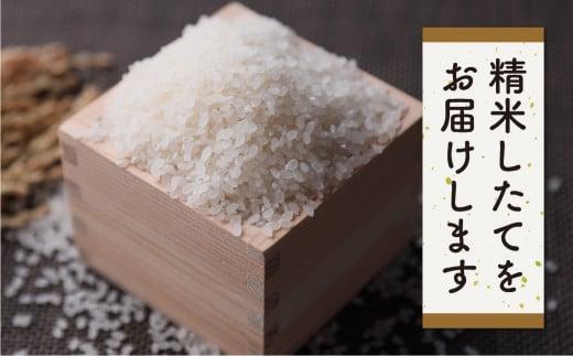 【令和7年産 新米】 飛騨産コシヒカリ白米 「うまいうまい飛騨の米」 白米 10kg | こしひかり 飛騨産 精米 お米 特別栽培米 飛騨高山 ファームジネンいいむら GG016