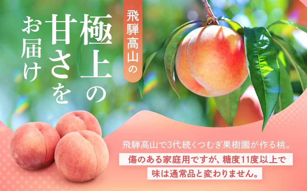 【2026年発送・先行受付】【訳あり】飛騨の桃（4-8玉) 糖度11度以上 品種おまかせ ご家庭用｜桃 もも 極上の甘さ 濃厚な甘さ 甘い 訳アリ 規格外 朝採り 朝採れ農家直送 飛騨高山 つむぎ果樹園 GH009
