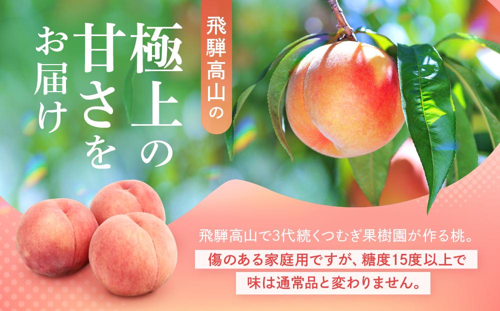 【2026年発送・先行受付】【訳あり】飛騨の桃（4-8玉）糖度15度以上 品種おまかせ ご家庭用｜桃 もも 極上の甘さ 濃厚な甘さ 甘い 訳アリ 規格外 朝採り 朝採れ農家直送 飛騨高山つむぎ果樹園 GH010