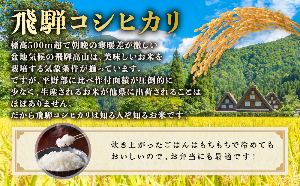 【先行受付】令和8年産新米 飛騨コシヒカリ５kg | 新米 米 ごはん おいしい もっちり 飛騨高山 船場農園 つむぎ果樹園 GH015