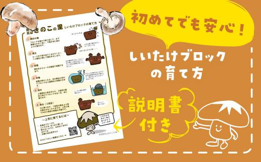 【2026年2月発送開始】 定期便 菌床椎茸栽培キット 1個×全4回（2月・5月・10月・1月に発送）| しいたけ シイタケ 椎茸 栽培キット きのこ 栽培 菌床 しいたけ菌 椎茸菌 栽培ブロック 採れたて とれたて 夏休み 自由研究 園芸 食育 飛騨高山きのこの里 GK100VC02