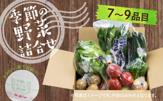【2025年予約受付】（2025年4月中旬～順次発送予定）飛騨の野菜お任せセット 7～9品目 | セット 野菜 夏野菜 秋野菜 おまかせ お取り寄せ 新鮮 産地直送 飛騨産 夏 秋 サラダ 飛騨高山 あじかファミリー GN001